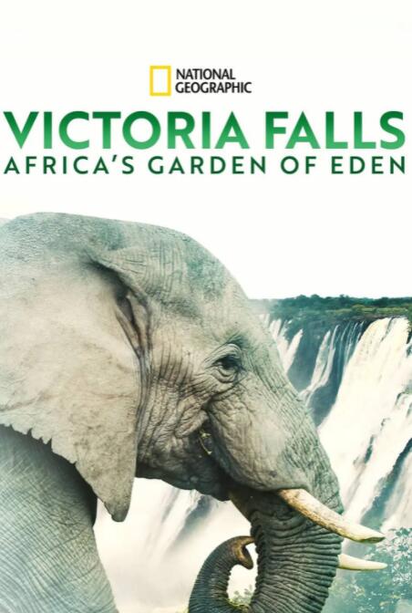 维多利亚瀑布：非洲的伊甸园